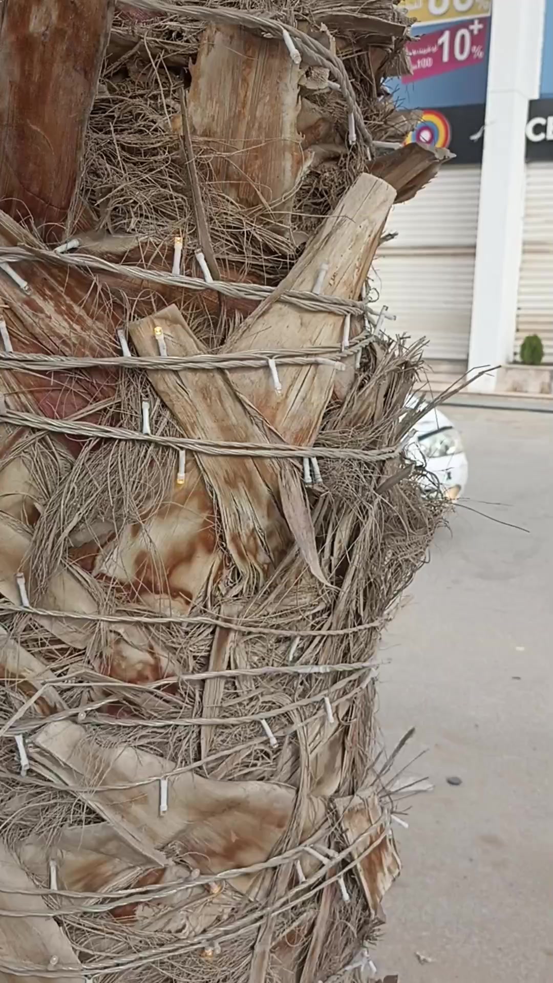 @حــــوٕد بوالمهدي!✓