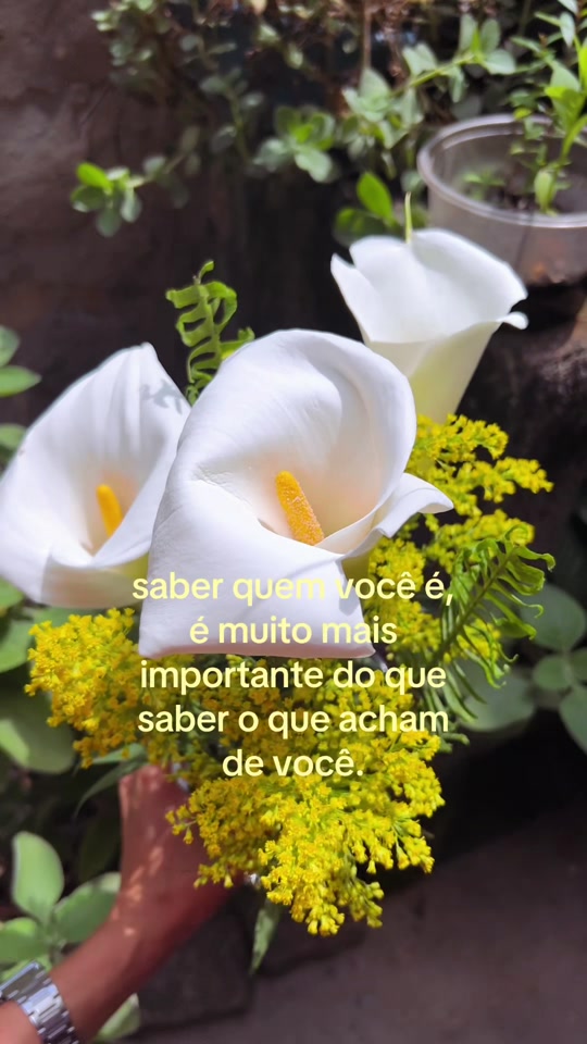 @★ Ana Be ★