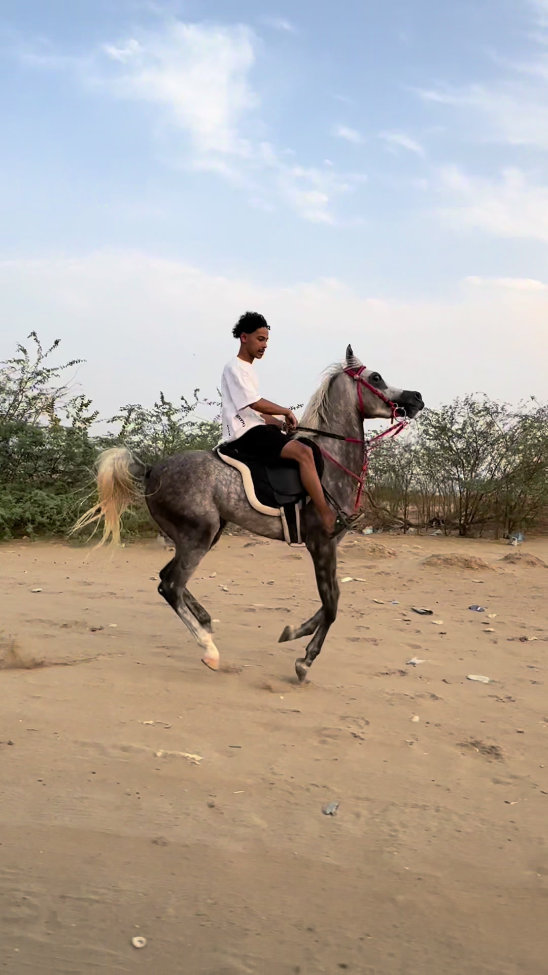 @فادي بن بندر 🎠