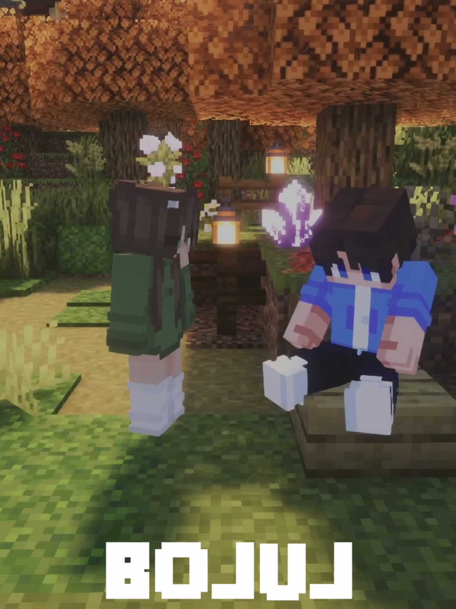 @FenixCraft