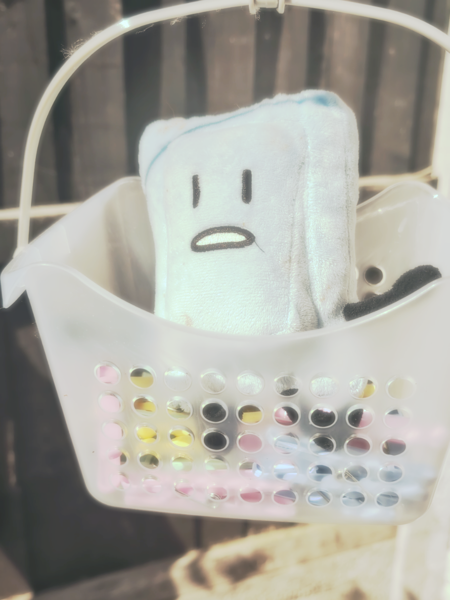 @✦qυιηη✦ ℓιуѕ σηℓу ραятηєя✦