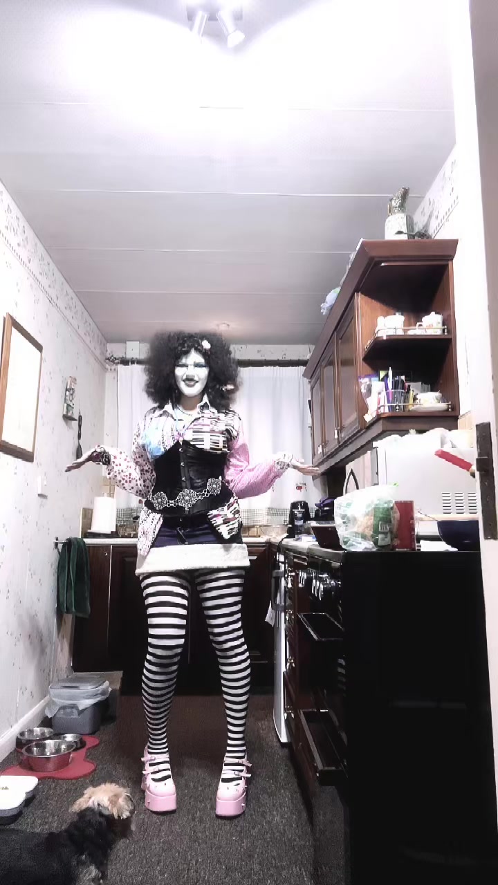 @•🦇𓋹ꩇׁׅ݊ꫀׁׅܻᧁׁɑׁׅ֮ꪀׁׅ𓋹🦇•