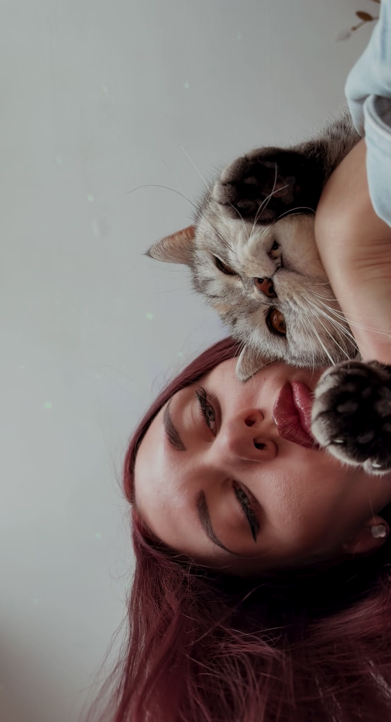 @Мой тгк:gddssan