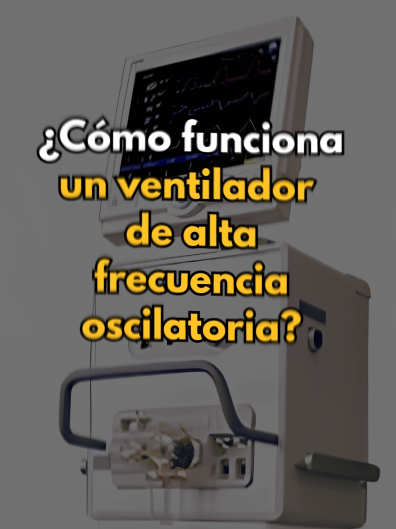 @Aula MEJOR