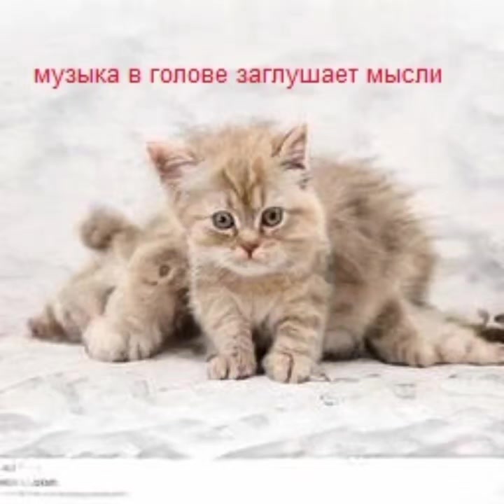 @Пепел