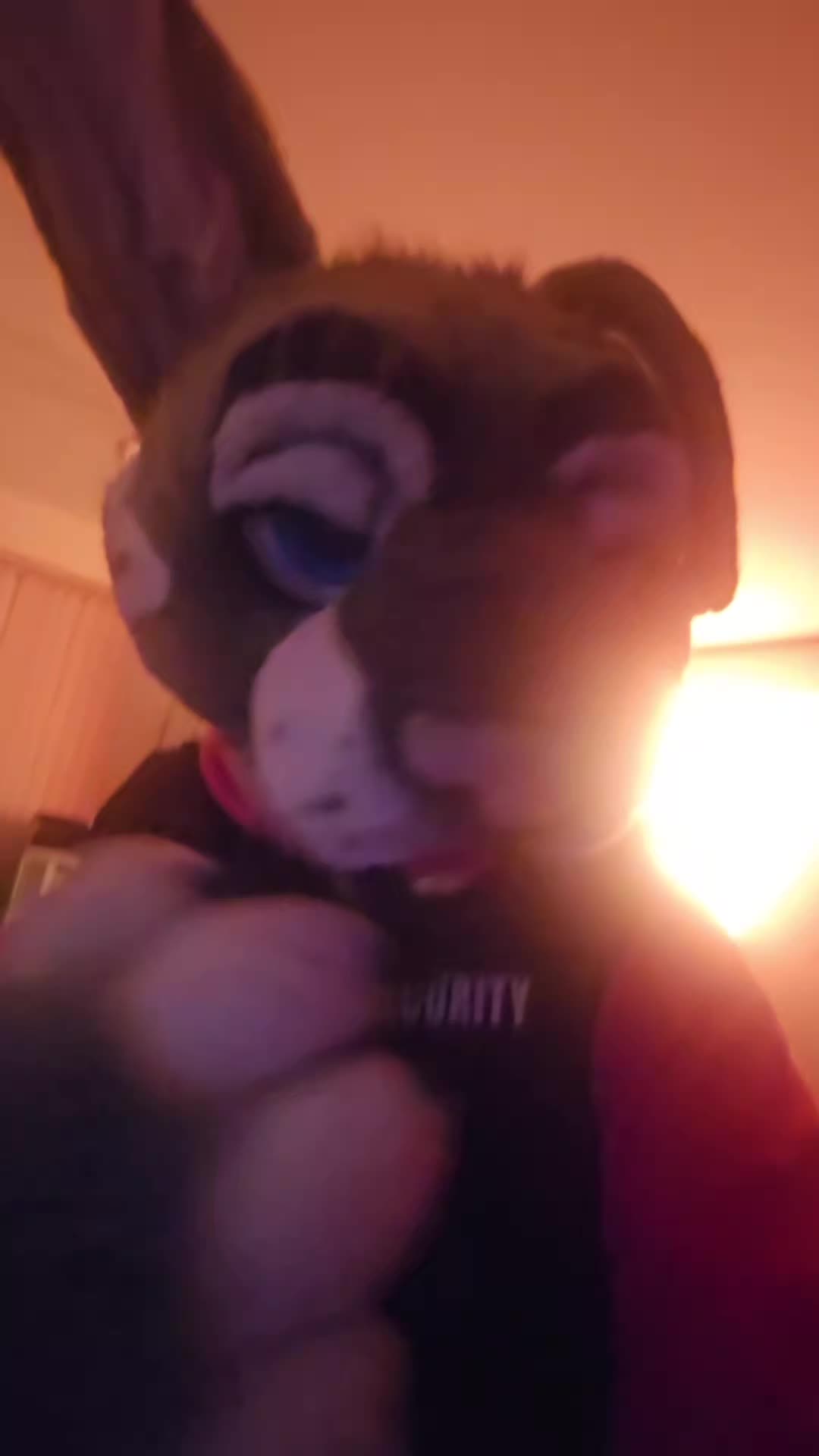 @Difficult Bunny!