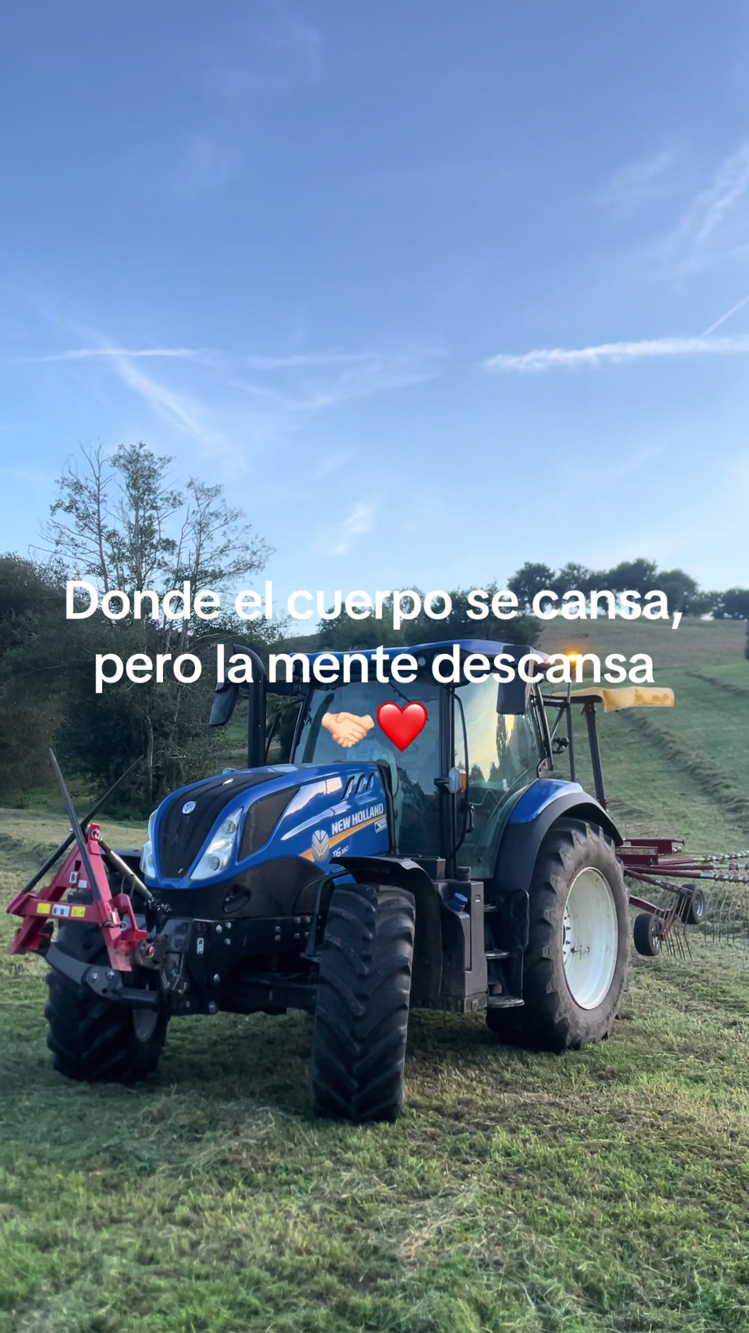 @Fran arenal