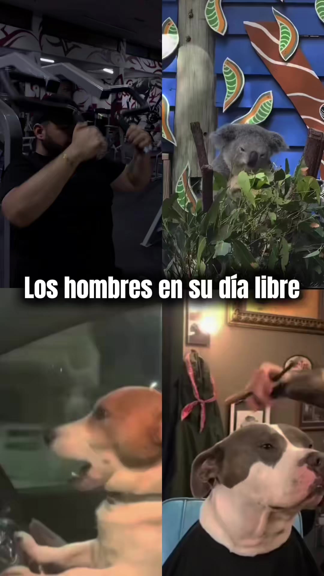@Xavier Mata (Ghost's Version)