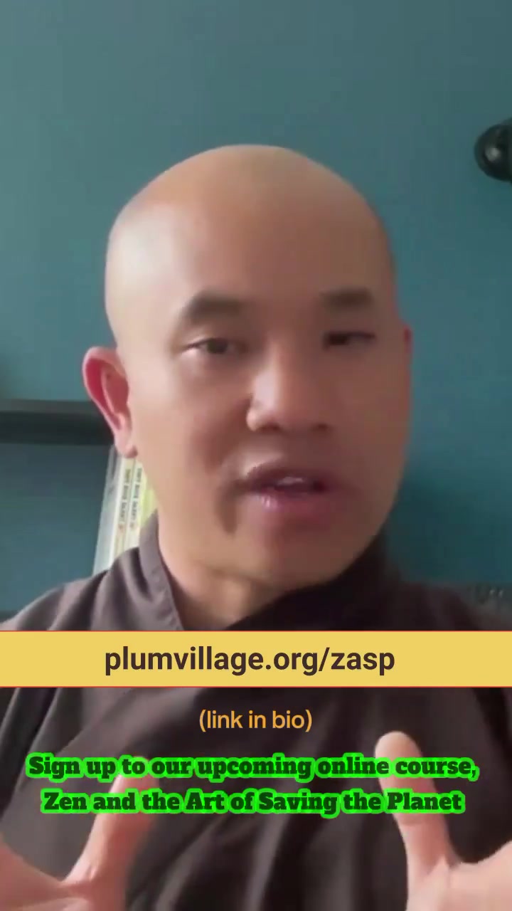 @Plum Village App