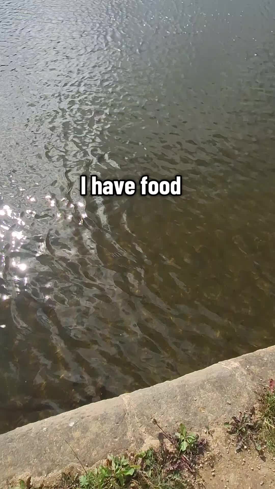 @Iqbal