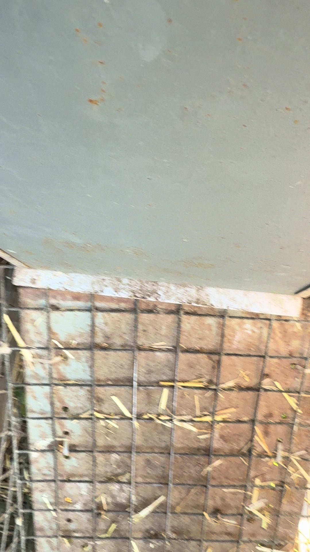 @Herongate Village Cattery