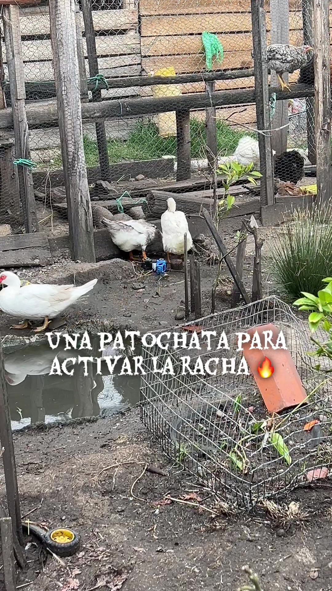 @Sam