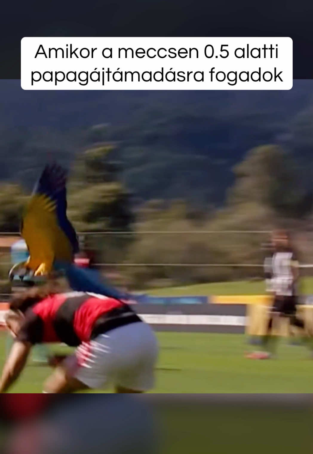 @Nemzeti Sport