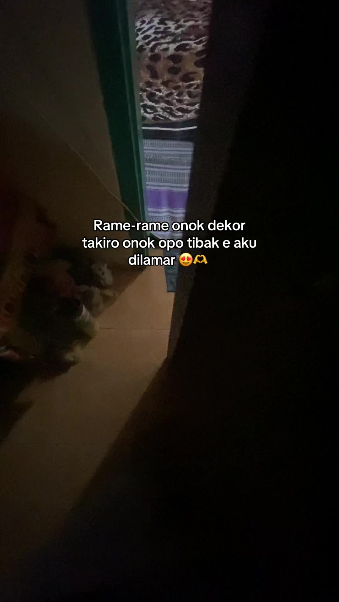 @Sinta Mia