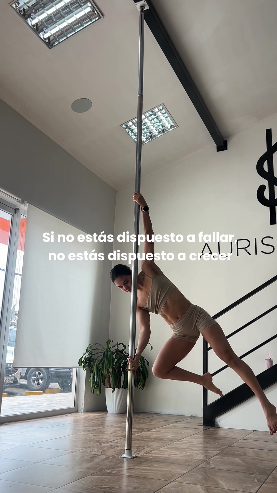 @aurispole