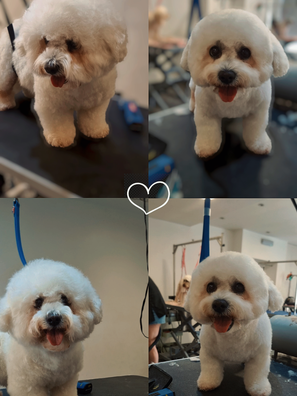 @PawsomeDogGroomingSouthOxhey