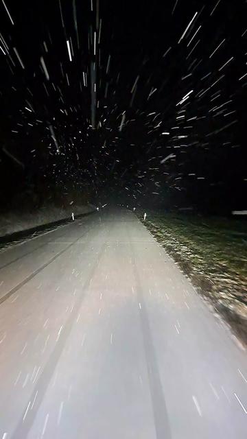 @brumi.30