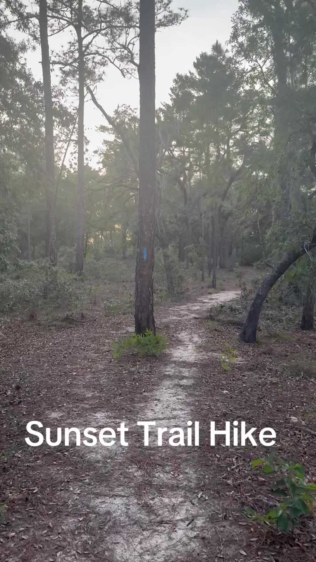 @TownsNTrails