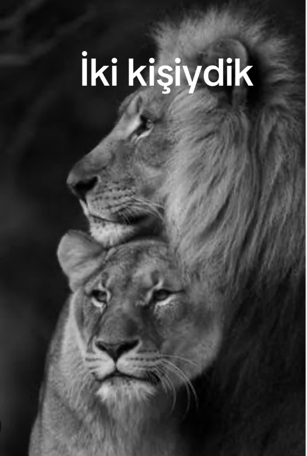 @iremnur karadaş