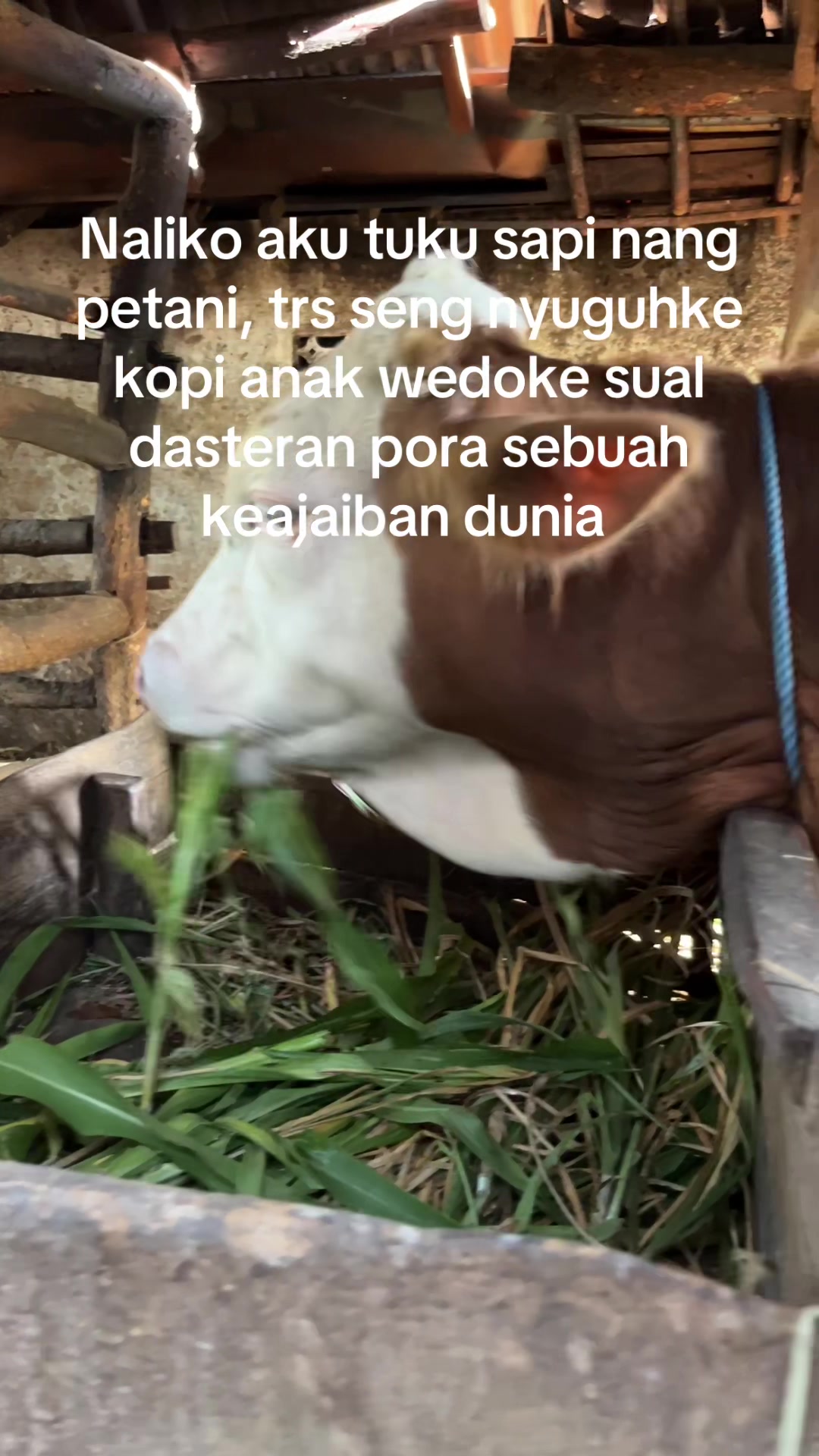 @Aziz kho