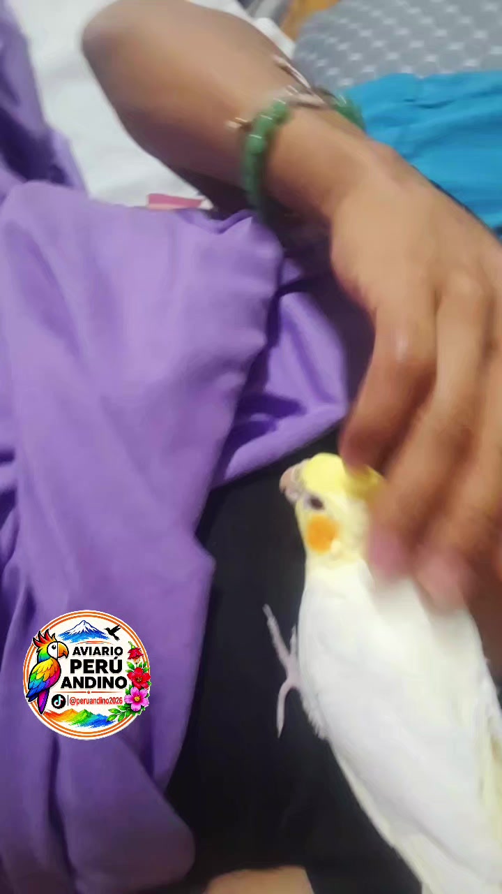 @rhiana tu charapita🏳️🌈