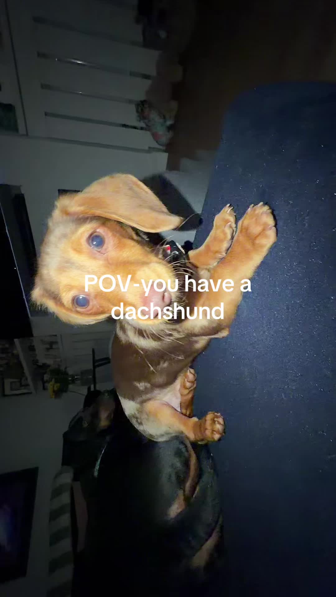 @Farrah