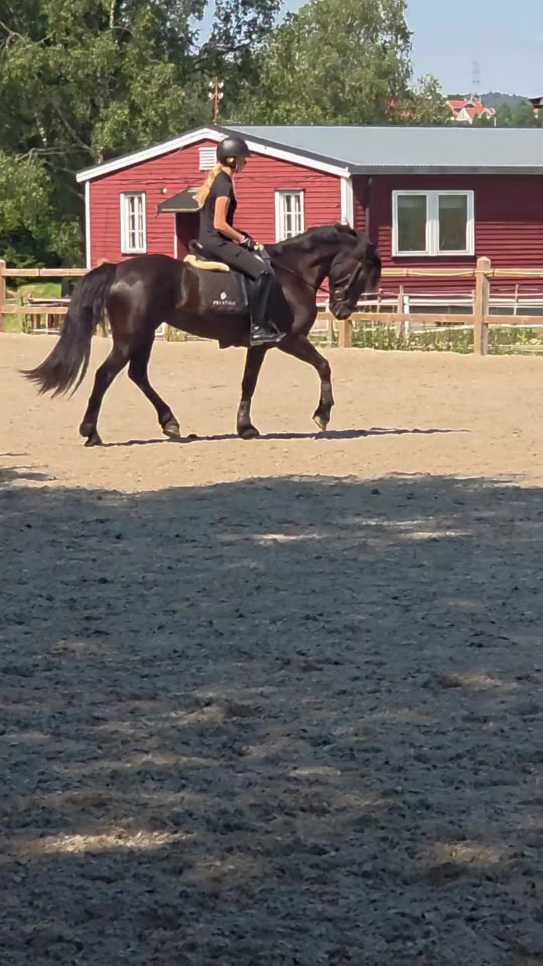 @Coreen Grønvold Belgen🇳🇴