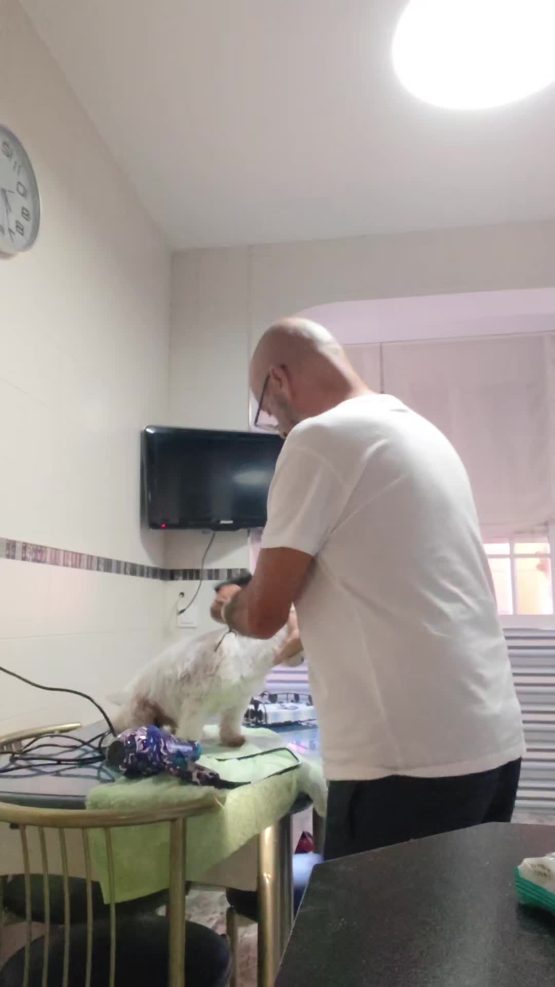 @manumota