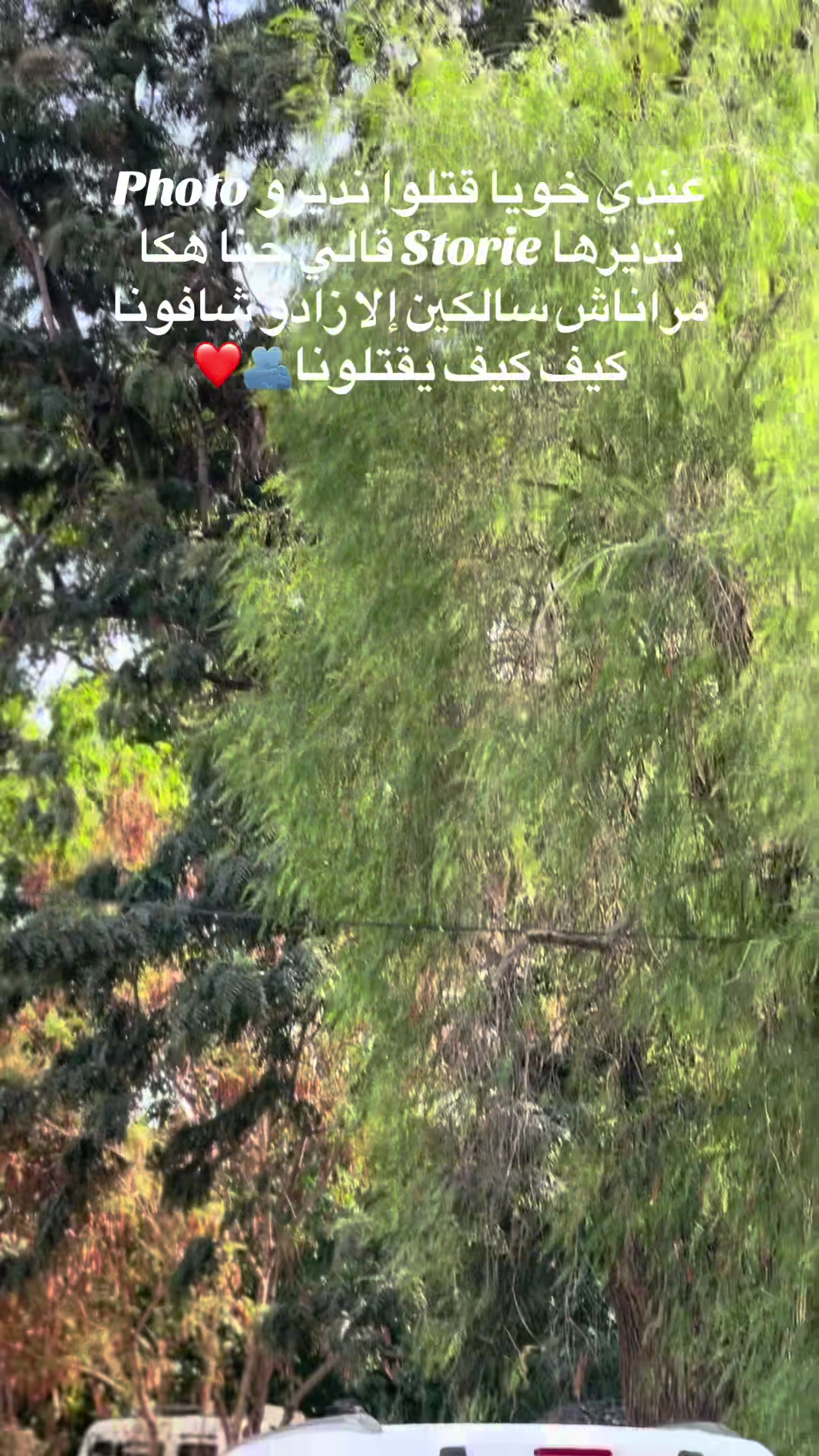 @Mohamed16