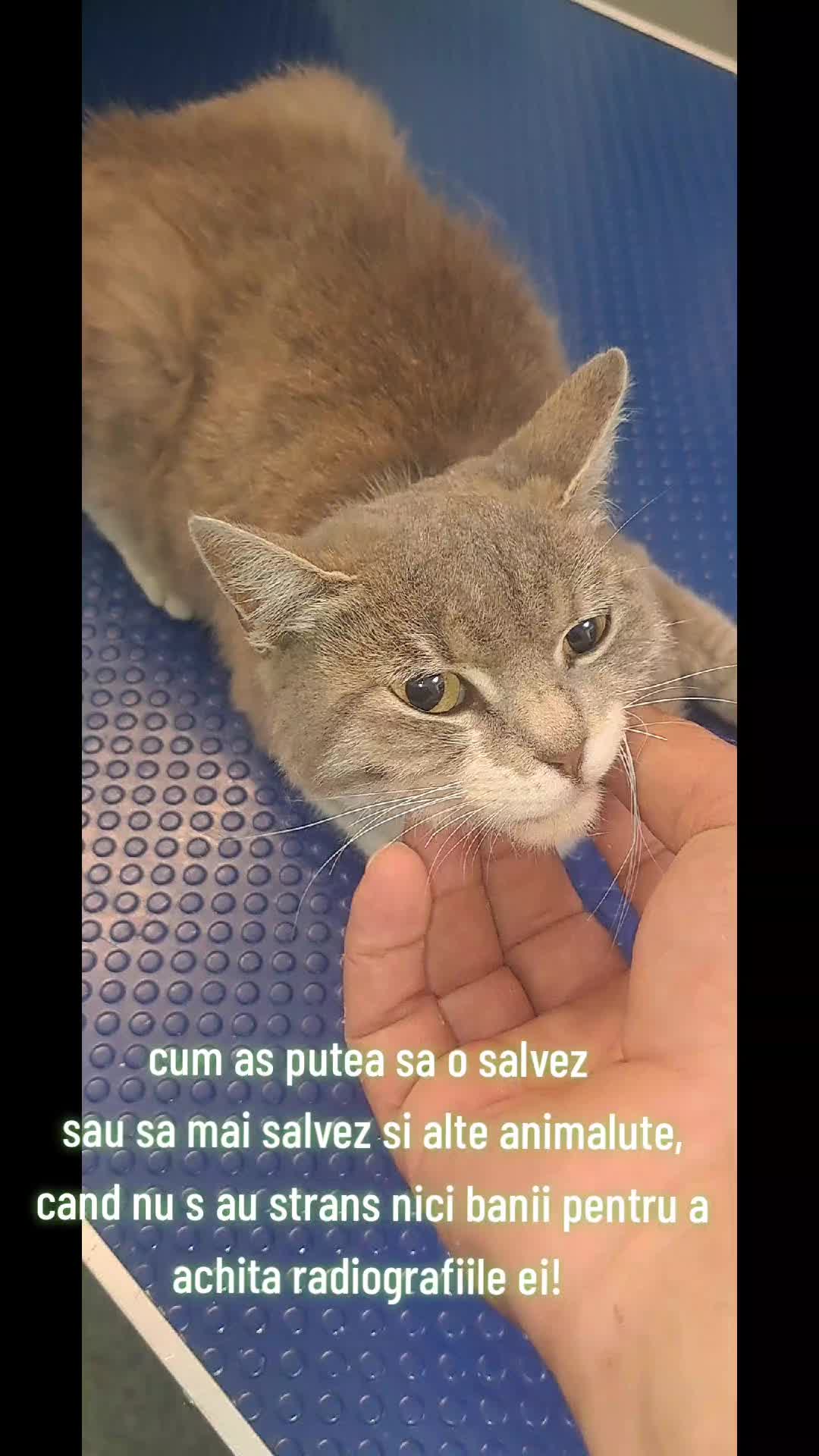 @Coiosu'&Co.