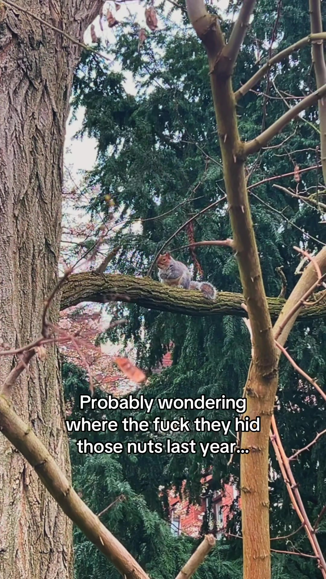 @Fugitive Orchestra
