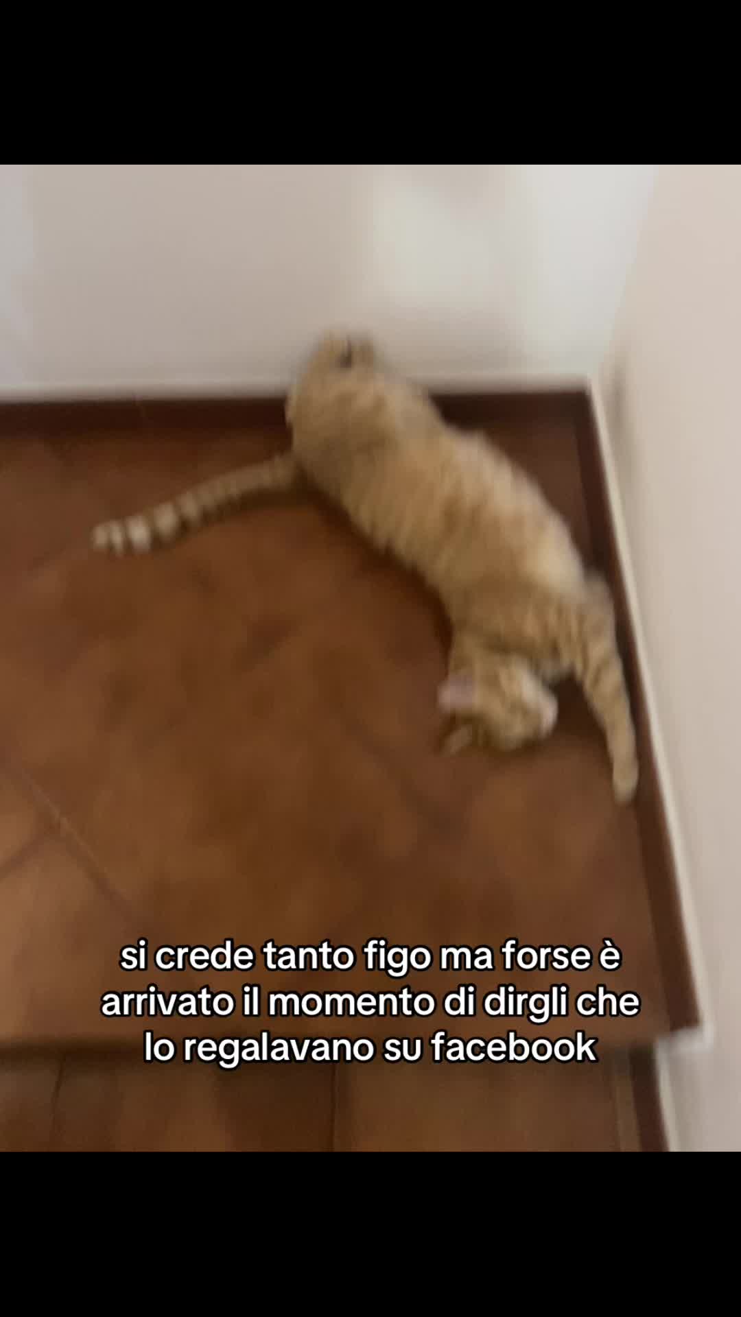 @𝒸𝓁𝒶