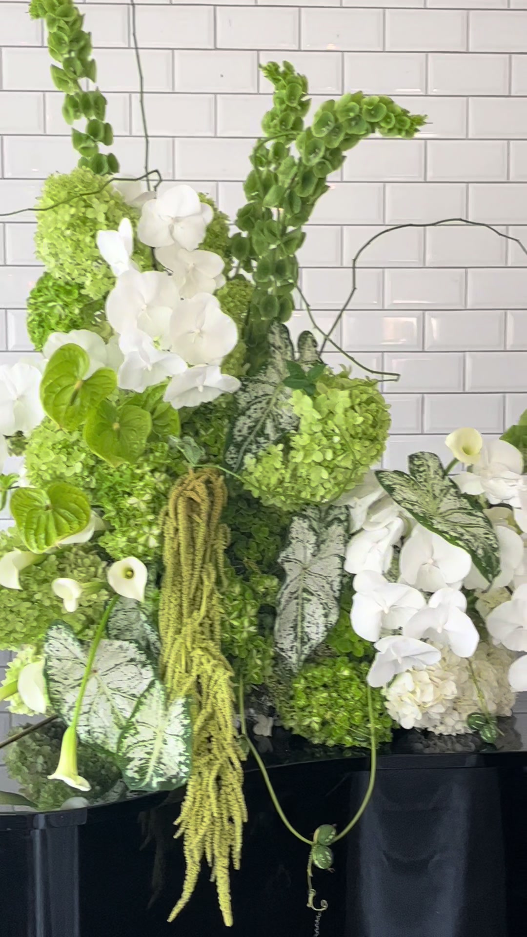 @Elle | BOTANICS
