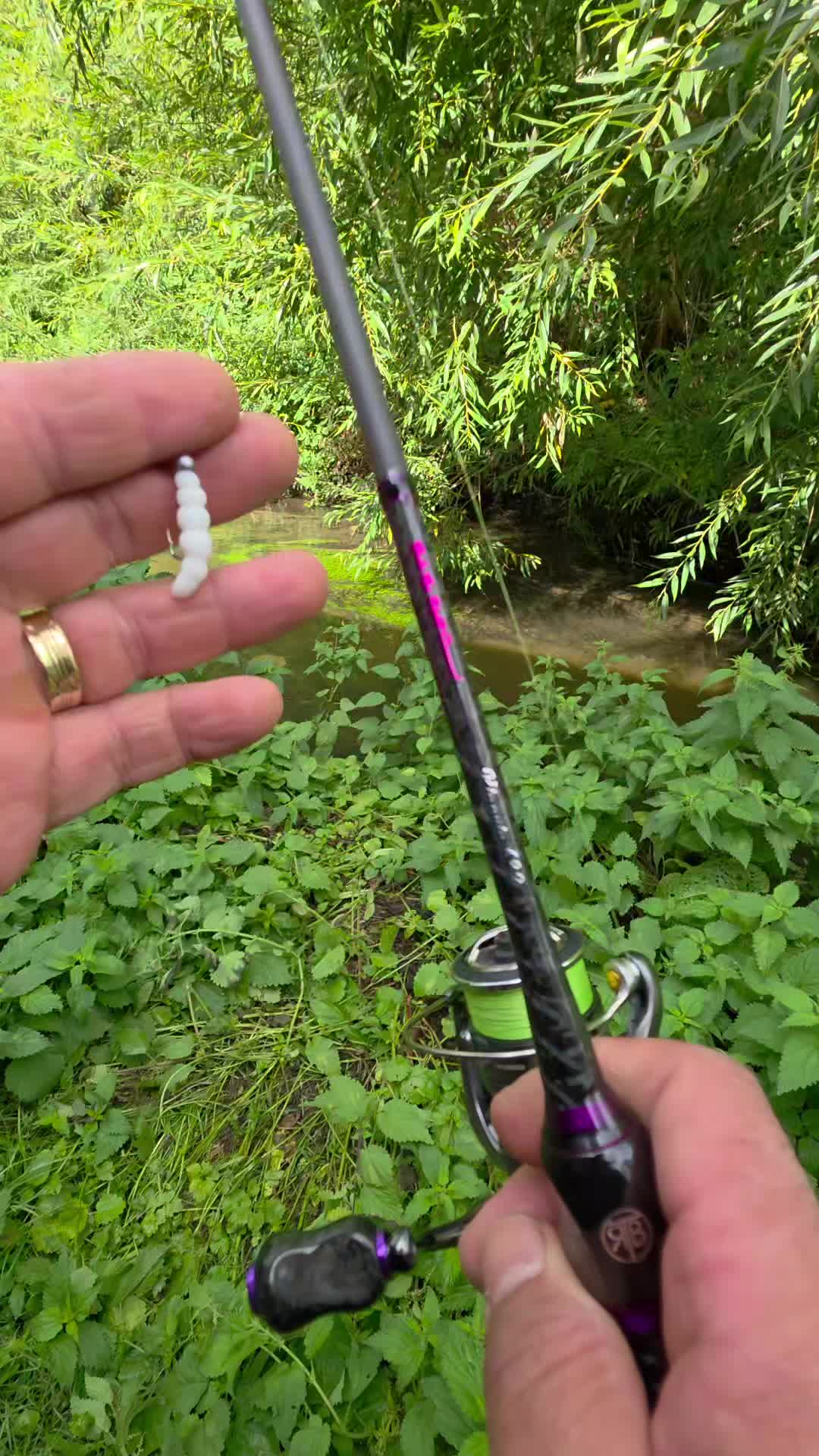 @BF Angler
