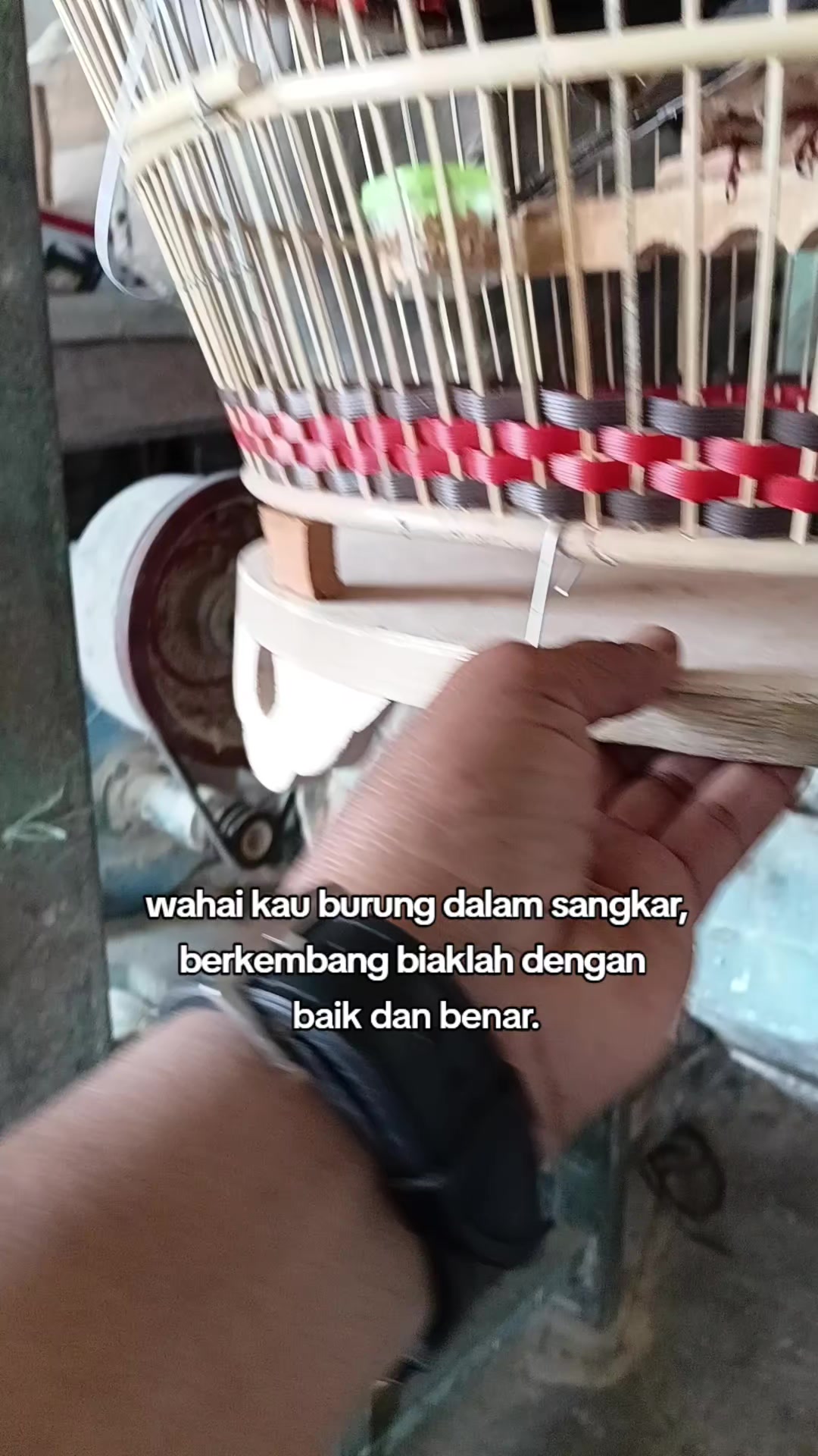 @Legenda Rasamala