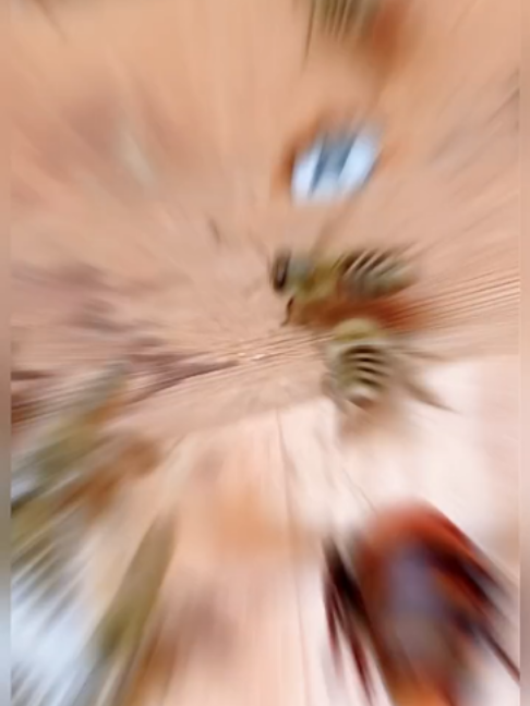 @user7790937915758