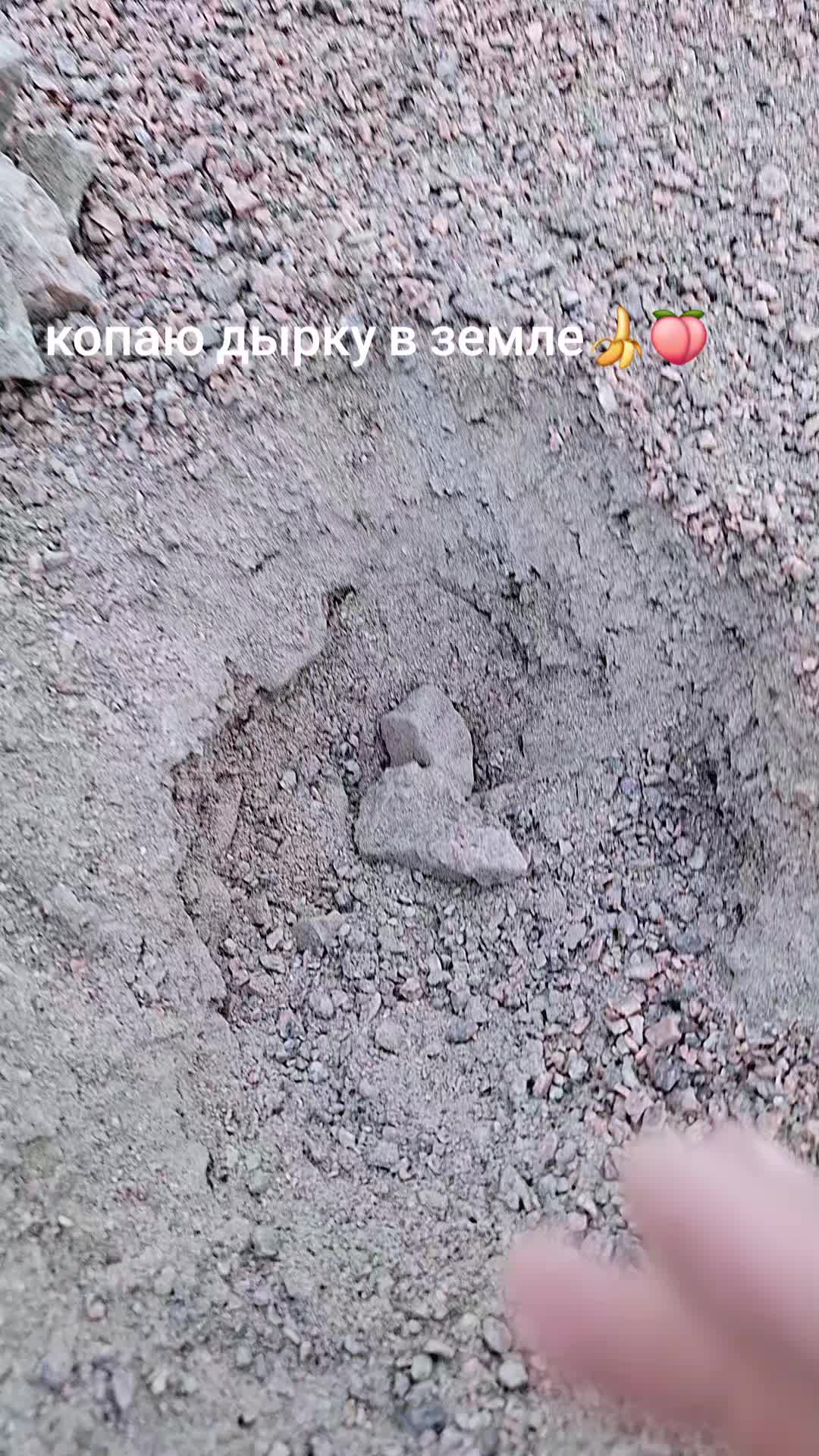 @хомяк | гыф гыф