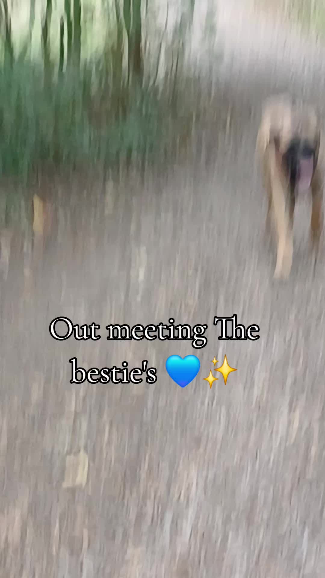@🇬🇧❤️MastiffMum🐕💙🇬🇧