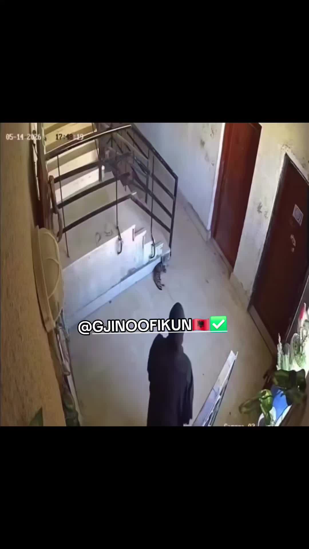 @GJINOOFIKUN🇦🇱✅️