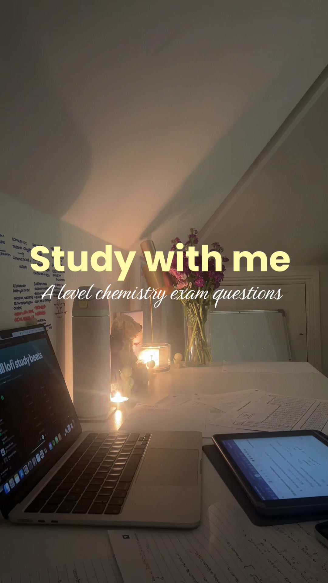 @han_studies