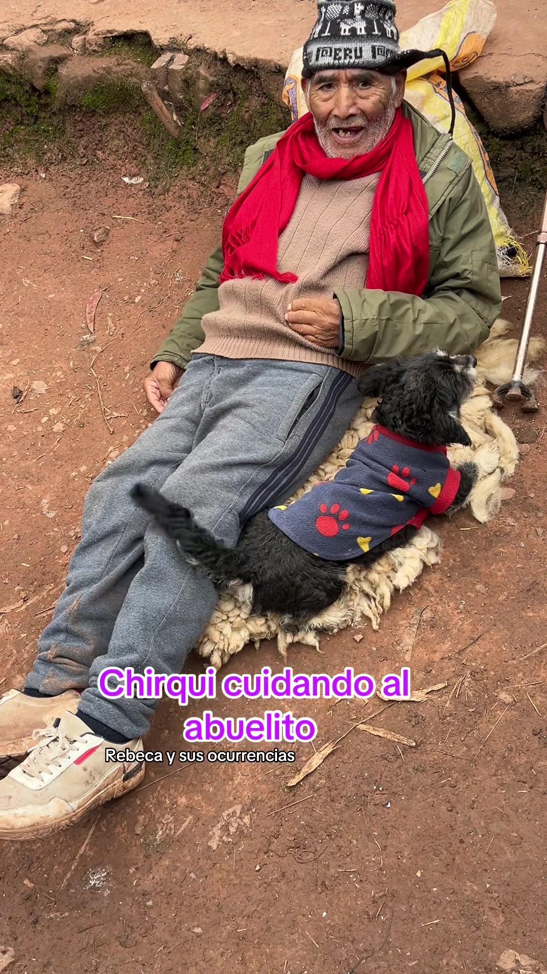 @🐈Rebeca y sus ocurrencias