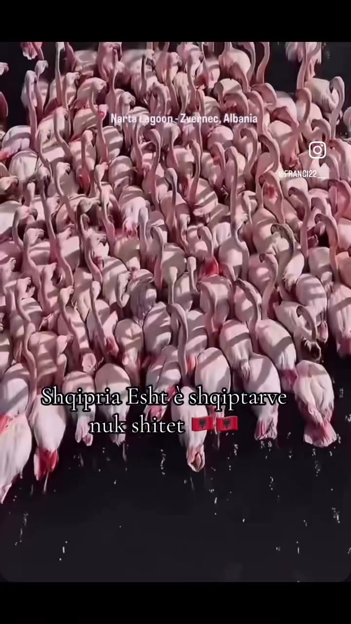 @GatimeTeShijshme