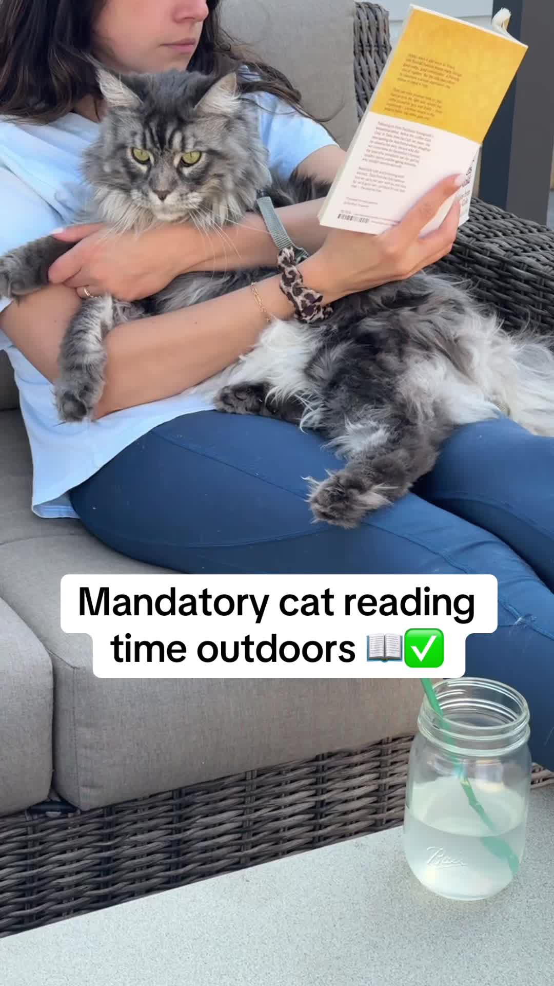 @Theo & Ember 🐈🐈&zwj;⬛
