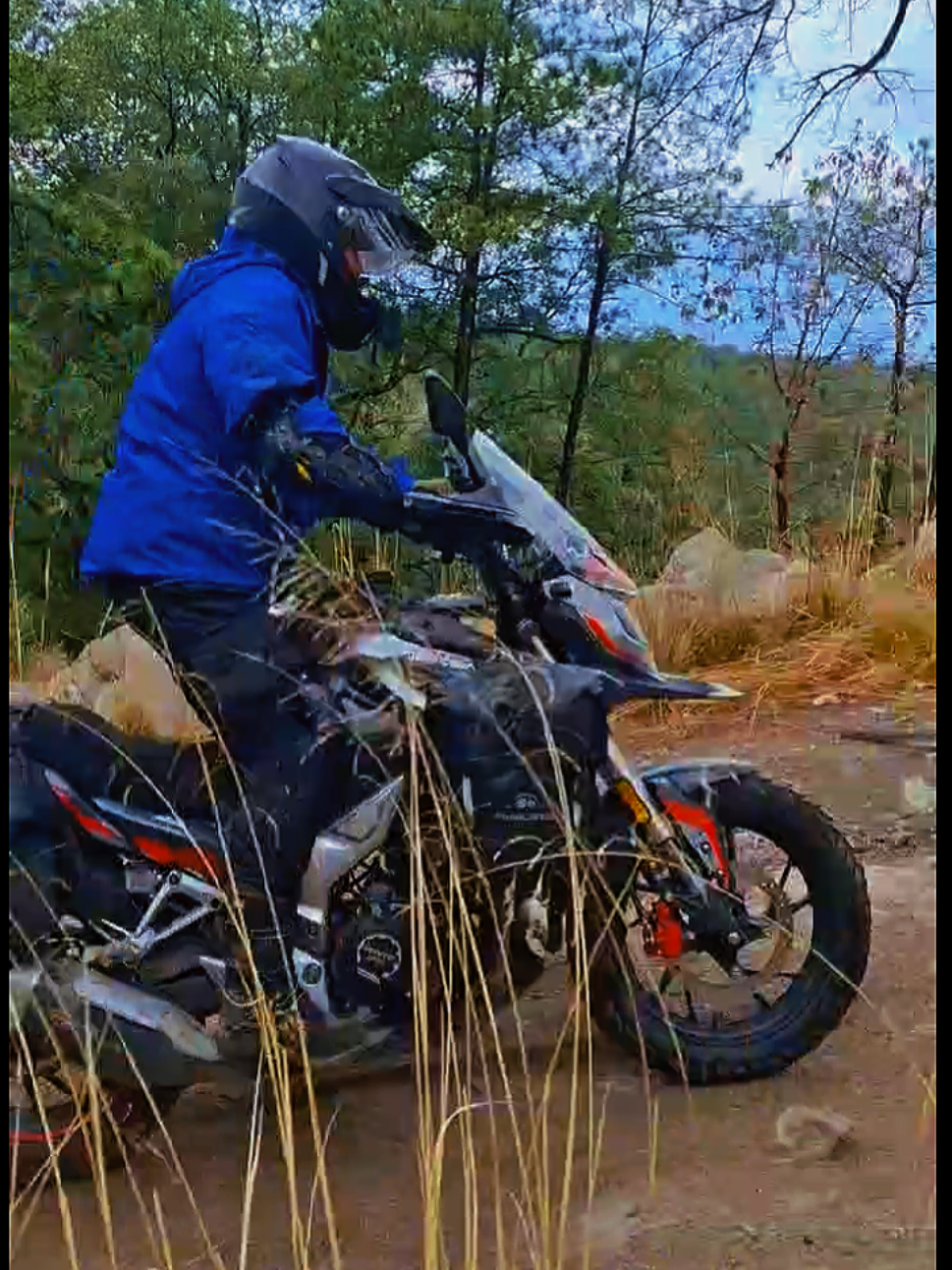 @Black Sheep Trail