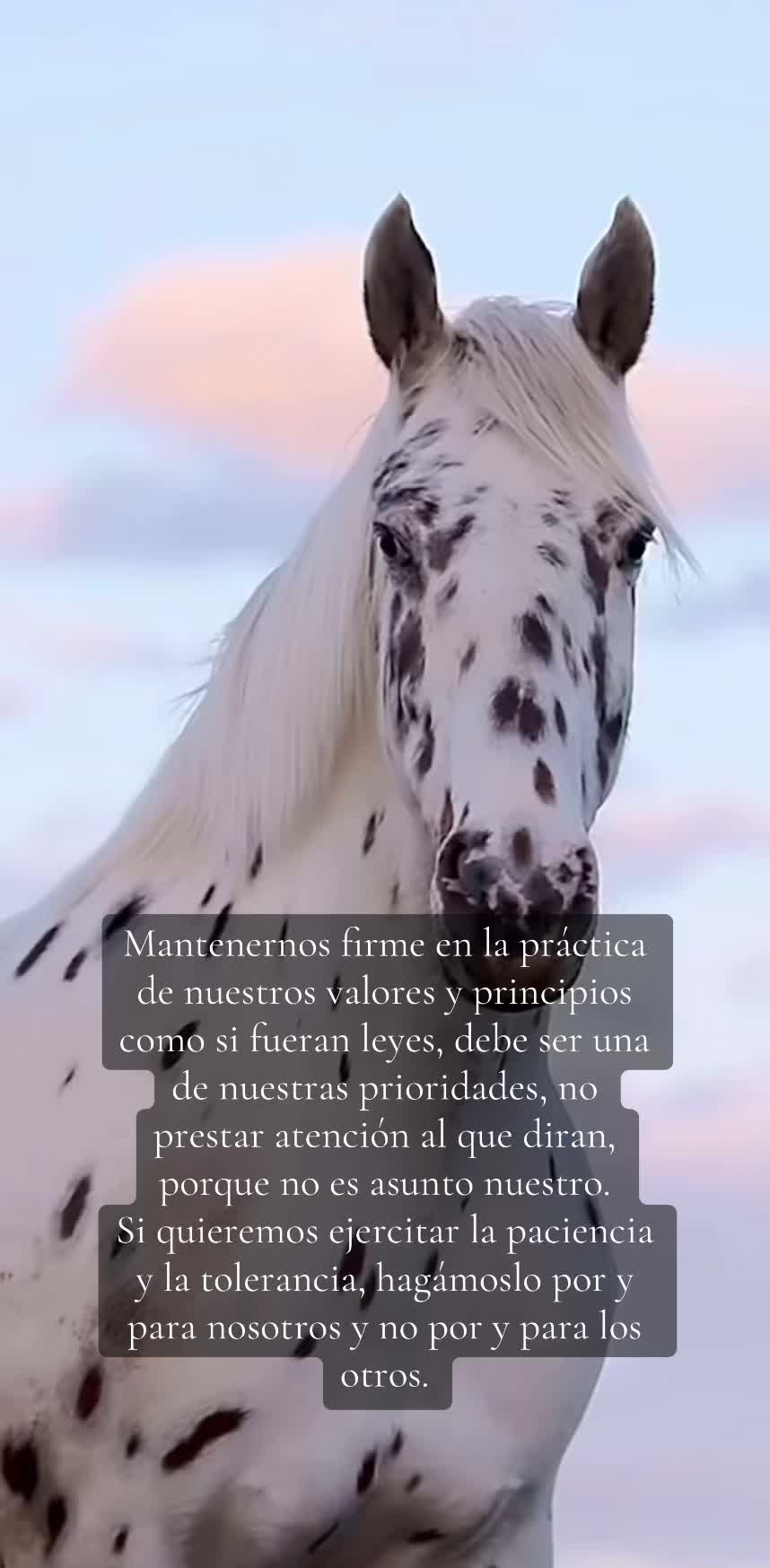 @mayte__18