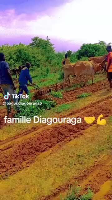 @makalou koita