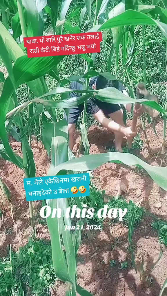 @Bishnu pangeni😊