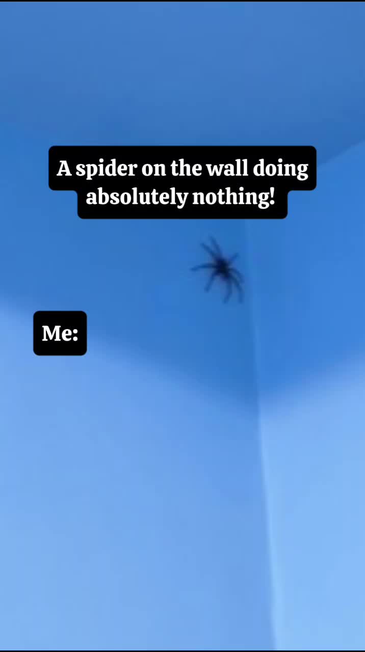 @kmbiamnumber12006❌️