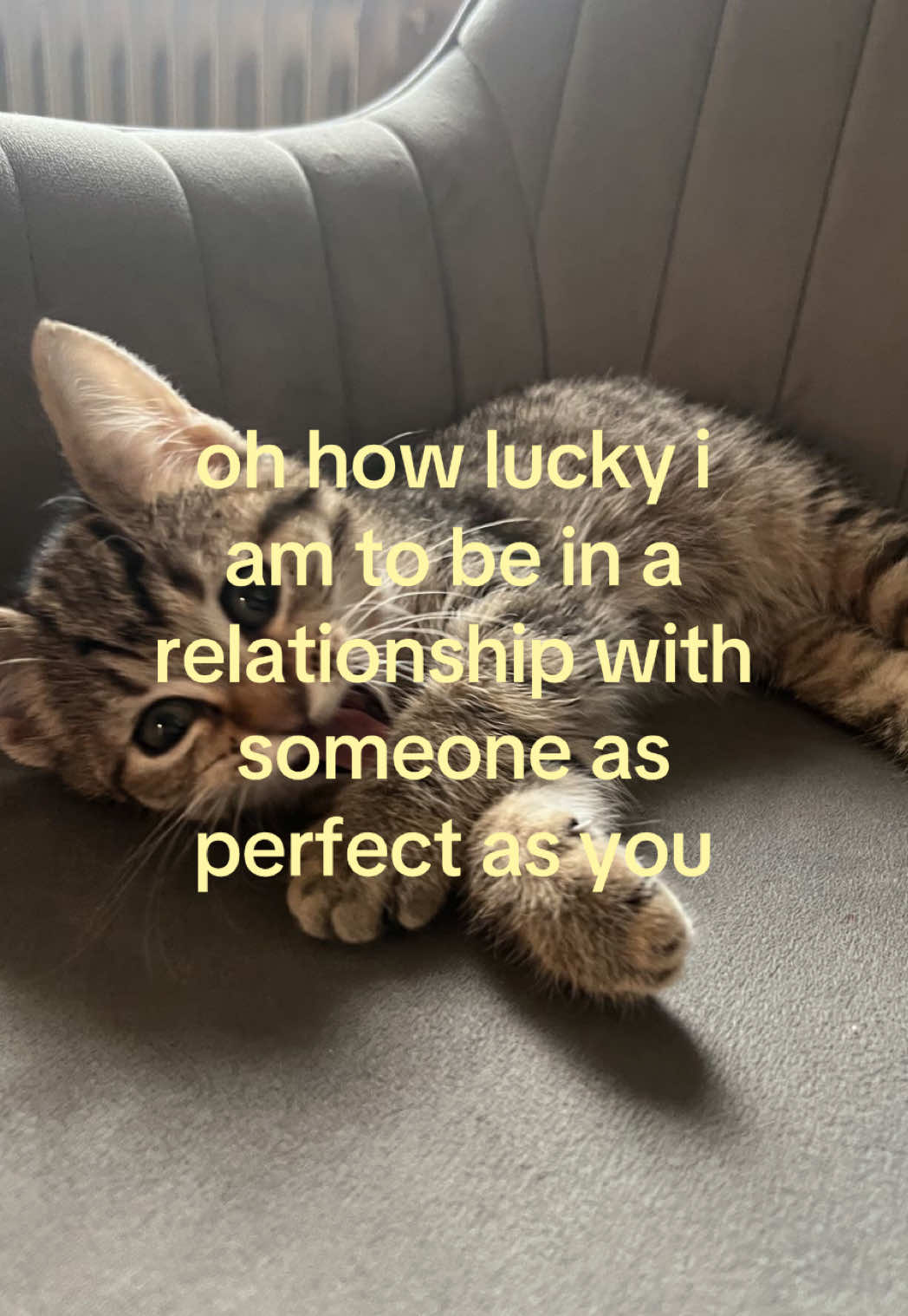@caughtafeeling