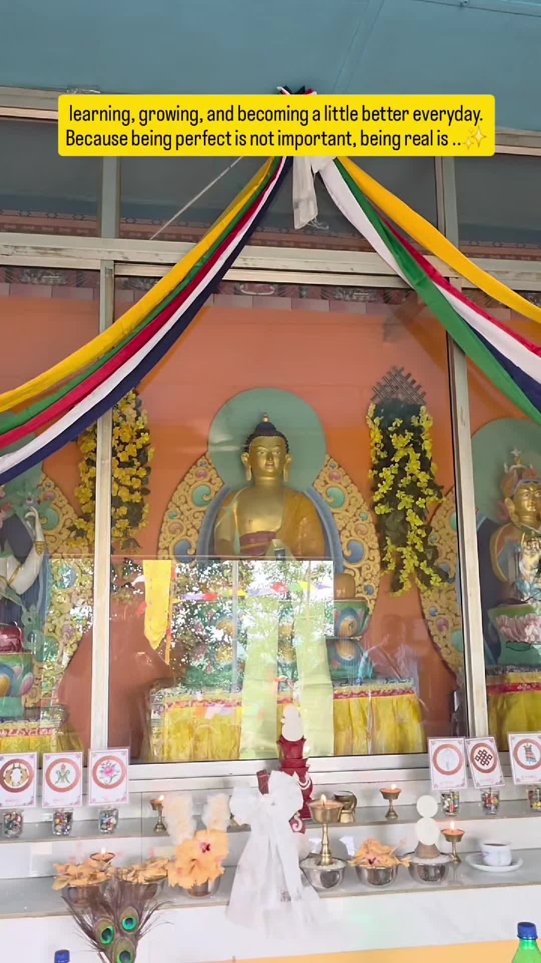 @nanushrestha763
